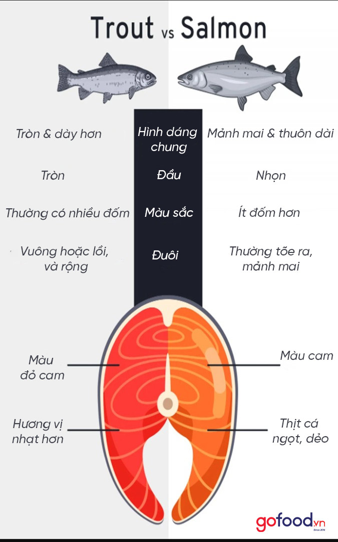 Phân biệt cá hồi Trout với cá Atlantic Salmon