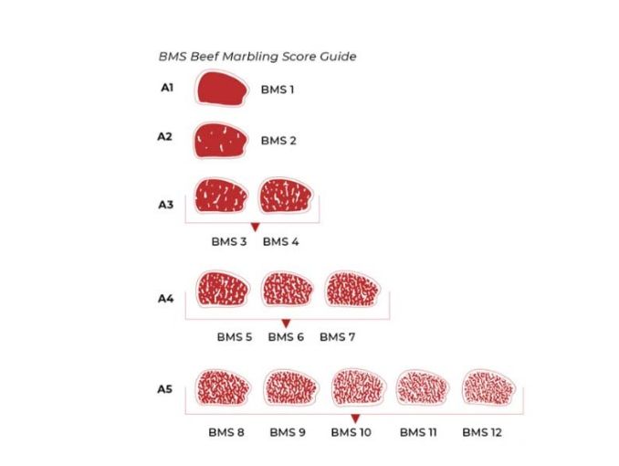 MB 6-7 tương đương cấp A4 của Wagyu Nhật Bản