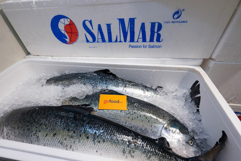 Cá hồi Nauy được nhập khẩu từ Salmar và Leroy