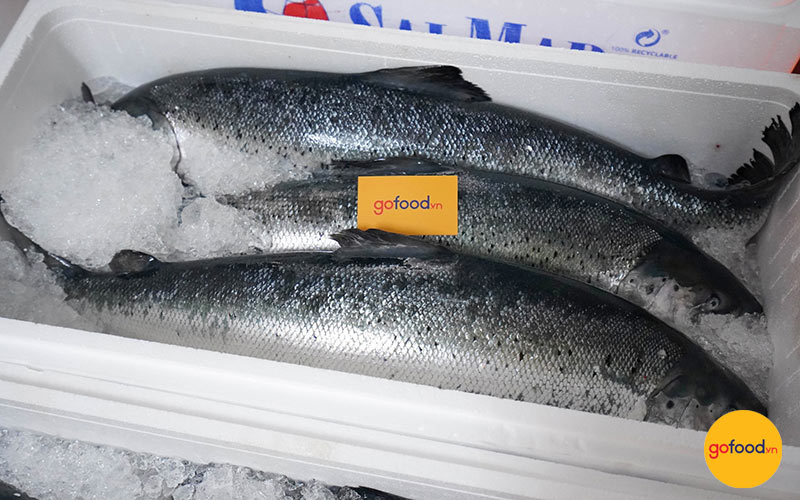 Cá hồi ưu đãi cực khủng trong Đại tiệc sashimi 2023