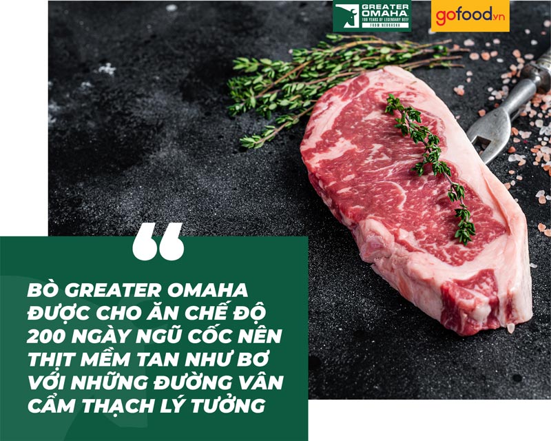 Bò Greater Omaha ăn ngũ cốc 200 ngày cho vân mỡ lý tưởng