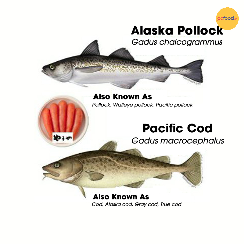 So sánh 2 loại cá Alaska Pollock và Pacific Cod