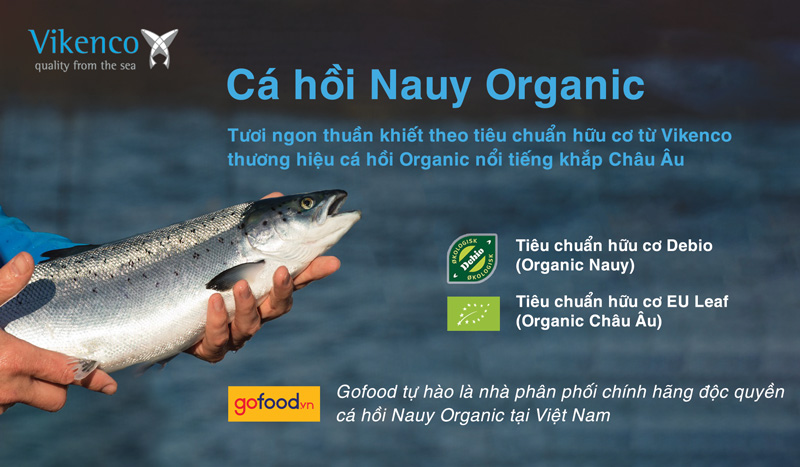 Gofood tự hào là nhà phân phối chính hãng độc quyền cá hồi Nauy Organic Vikenco