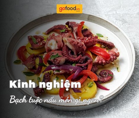 Bạch tuộc làm món gì ngon? Tổng hợp món ngon từ bạch tuộc 