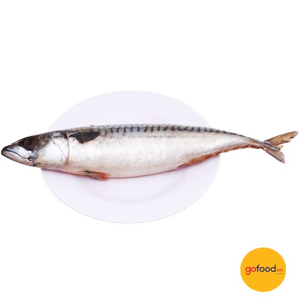 Cá Saba nguyên con 500g