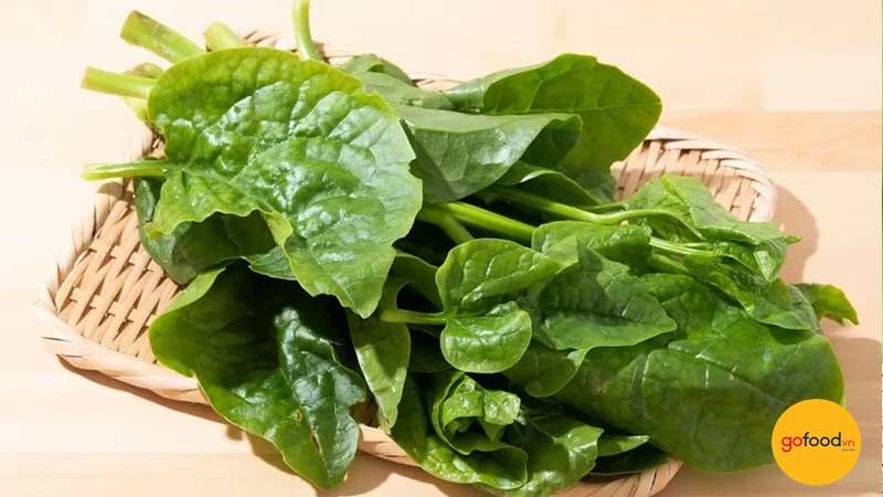 Hạn chế ăn nhiều rau mồng tơi với thịt b&ograve;, tr&aacute;nh t&igrave;nh trạng đầy hơi, chướng bụng