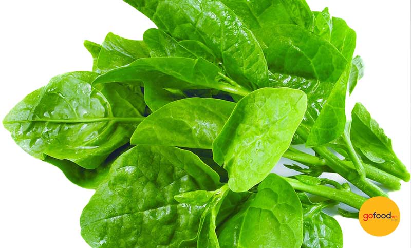 Rau mồng tơi ăn được với hầu hết c&aacute;c loại lẩu 