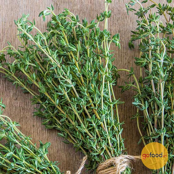 Lá Thyme - Cỏ xạ hương