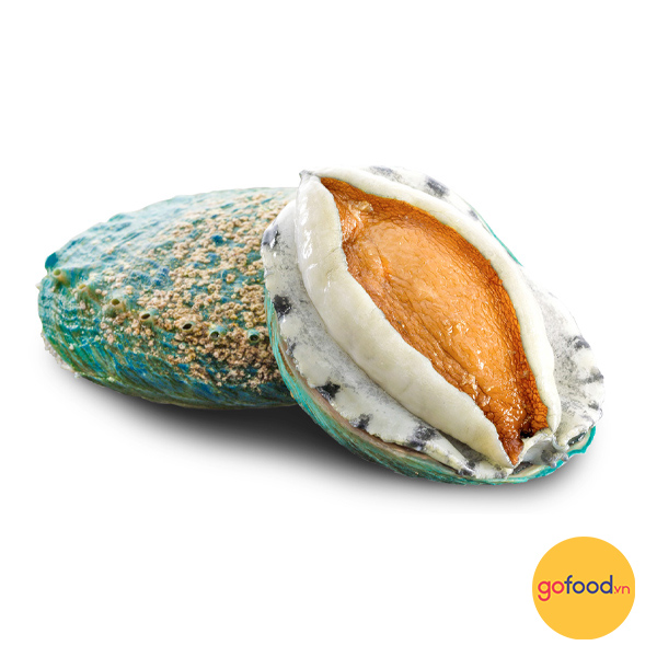 Bào ngư Úc viền xanh