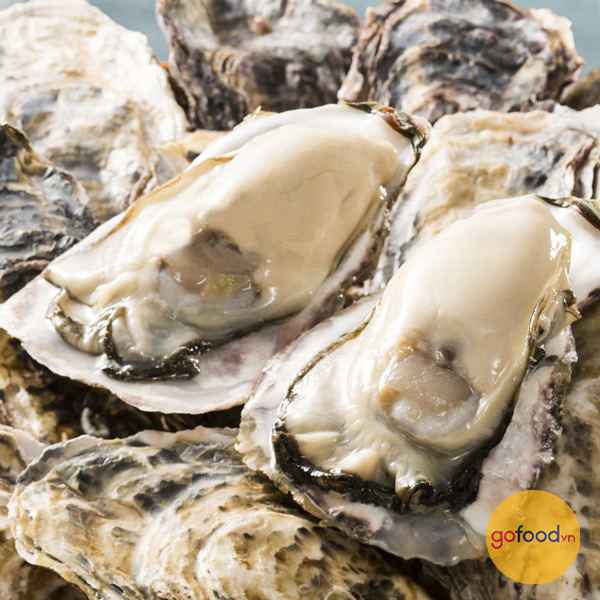 Hàu sữa Nhật Bản - Japan Oyster 