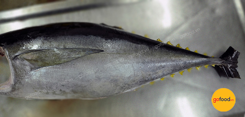 ca-ngu-dai-duong-fillet-tuoi-4