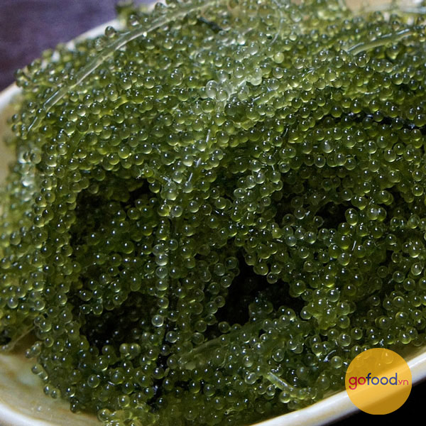 Rong nho muối - Grape Seaweed Umibudo 100 gr