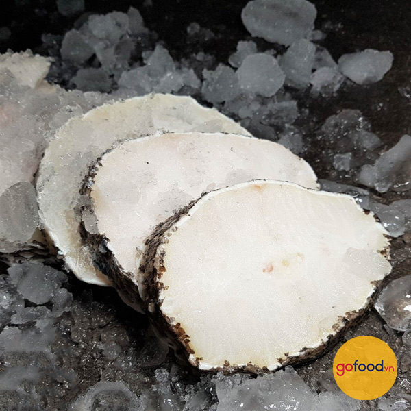 Cá tuyết Nam Cực - Patagonian Toothfish