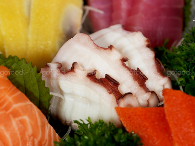 Sashimi Tổng Hợp