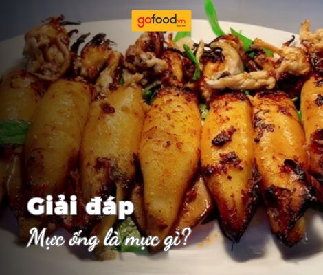 Mực ống là mực gì? Mực ống làm món gì ngon?