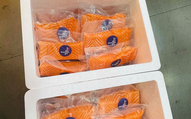 don-ca-hoi-tet-2026-3