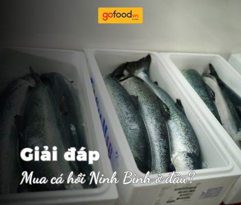 Mua cá hồi Ninh Bình tại Gofood tươi ngon, chính hãng Mua cá hồi Ninh Bình tại Gofood tươi ngon, chính hãng
