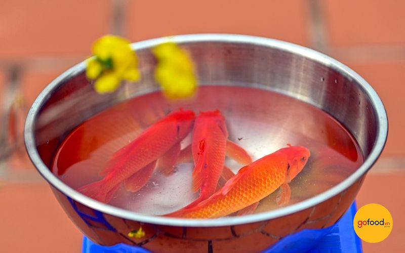 Chuẩn bị 3 con c&aacute; ch&eacute;p đẻ để c&uacute;ng &ocirc;ng C&ocirc;ng &ocirc;ng T&aacute;o