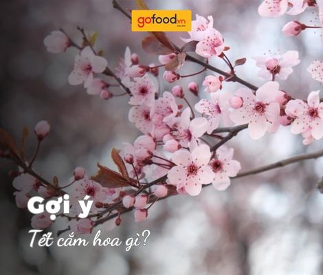 Giải - đáp: Tết cắm hoa gì trên bàn thờ & để bàn?