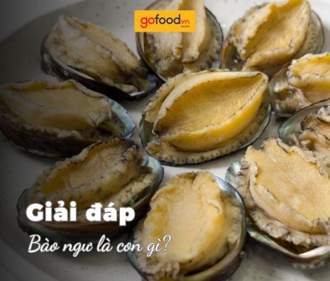 Bào ngư là gì? Giá bào ngư bao nhiêu tiền 1kg?