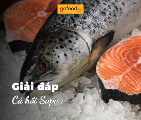 Cá hồi Sapa bao nhiêu tiền 1kg? Mua cá hồi Sapa ở đâu?
