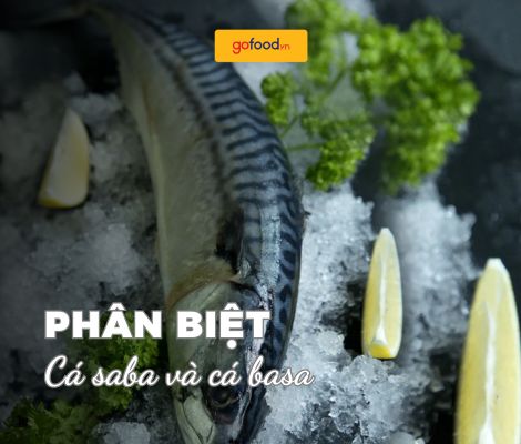 Cá saba và cá basa giống hay khác nhau?