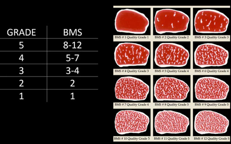 Cấp độ v&acirc;n mỡ b&ograve; Wagyu Nhật
