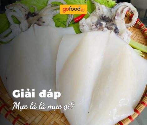 Mực lá là mực gì? Mực lá làm món gì ngon? Mực lá là mực gì? Mực lá làm món gì ngon?