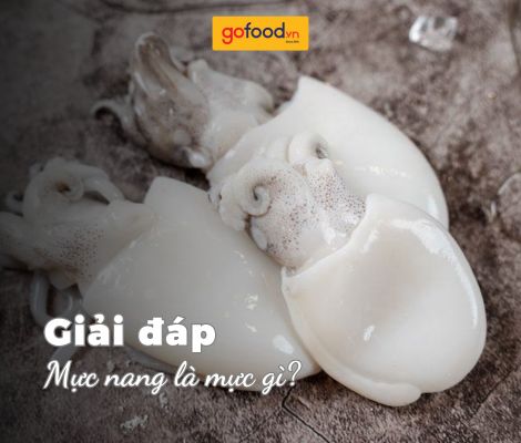 Mực nang là mực gì? Mực nang làm gì ngon? Mực nang là mực gì? Mực nang làm gì ngon?