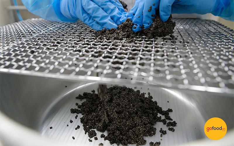 tach-va-lam-sach-trung-ca-tam