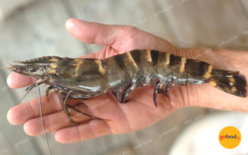 Tôm sú làm sashimi