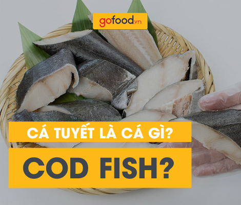 Các tên gọi khác của cod fish là gì?
