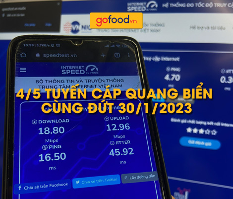 Bốn tuyến cáp quang biển cùng đứt ngày 30 tháng 1 2023