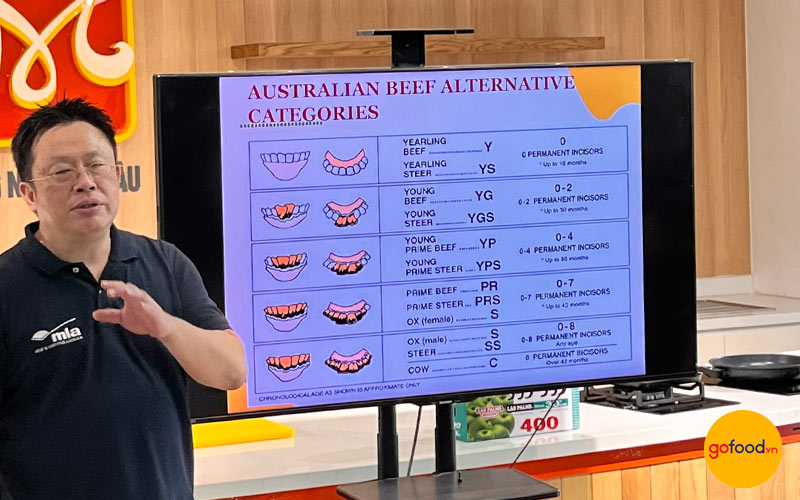 Buổi đào tạo cung cấp nhiều thông tin chuyên sâu về thịt bò Úc