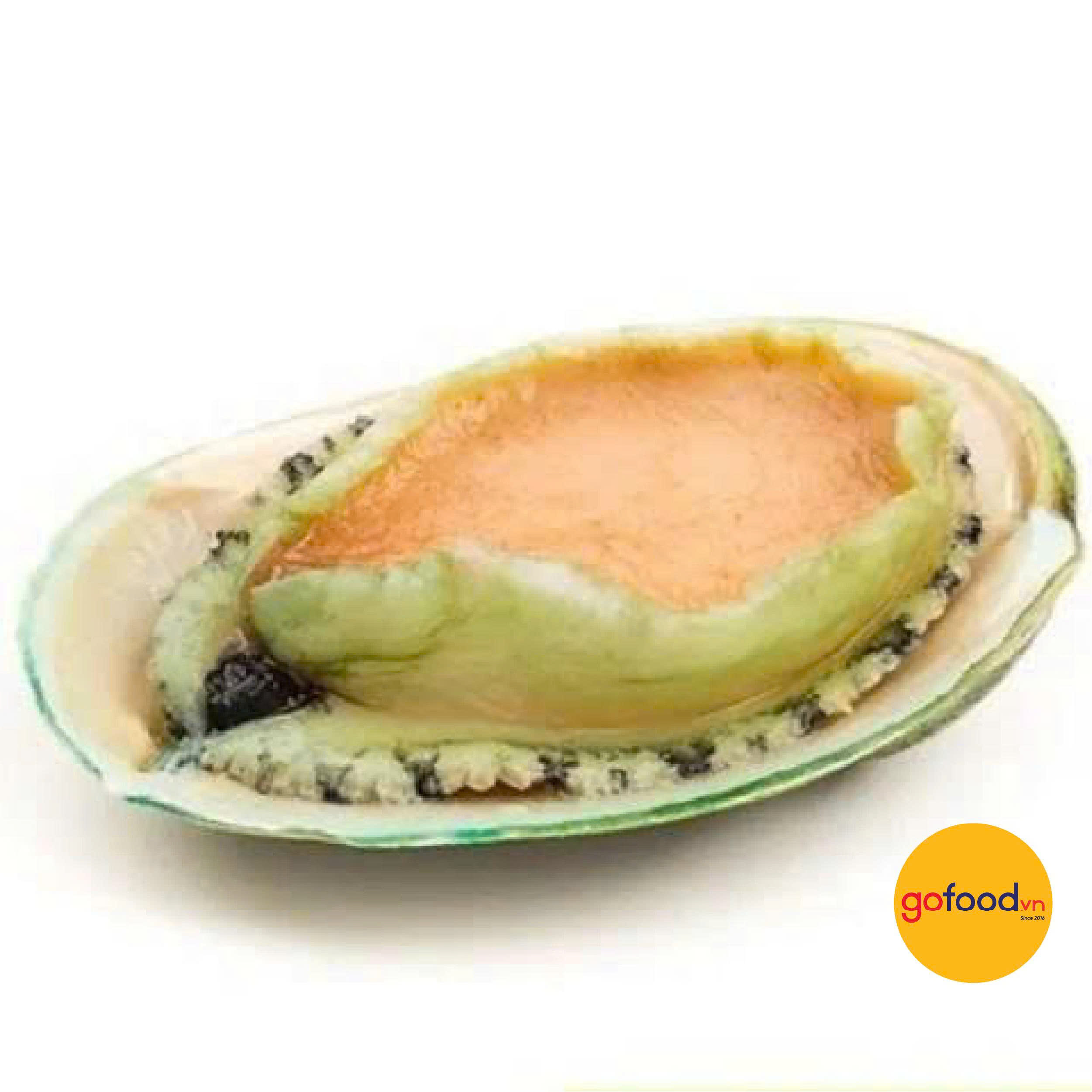 Bào ngư Úc viền xanh biển Tasmania 