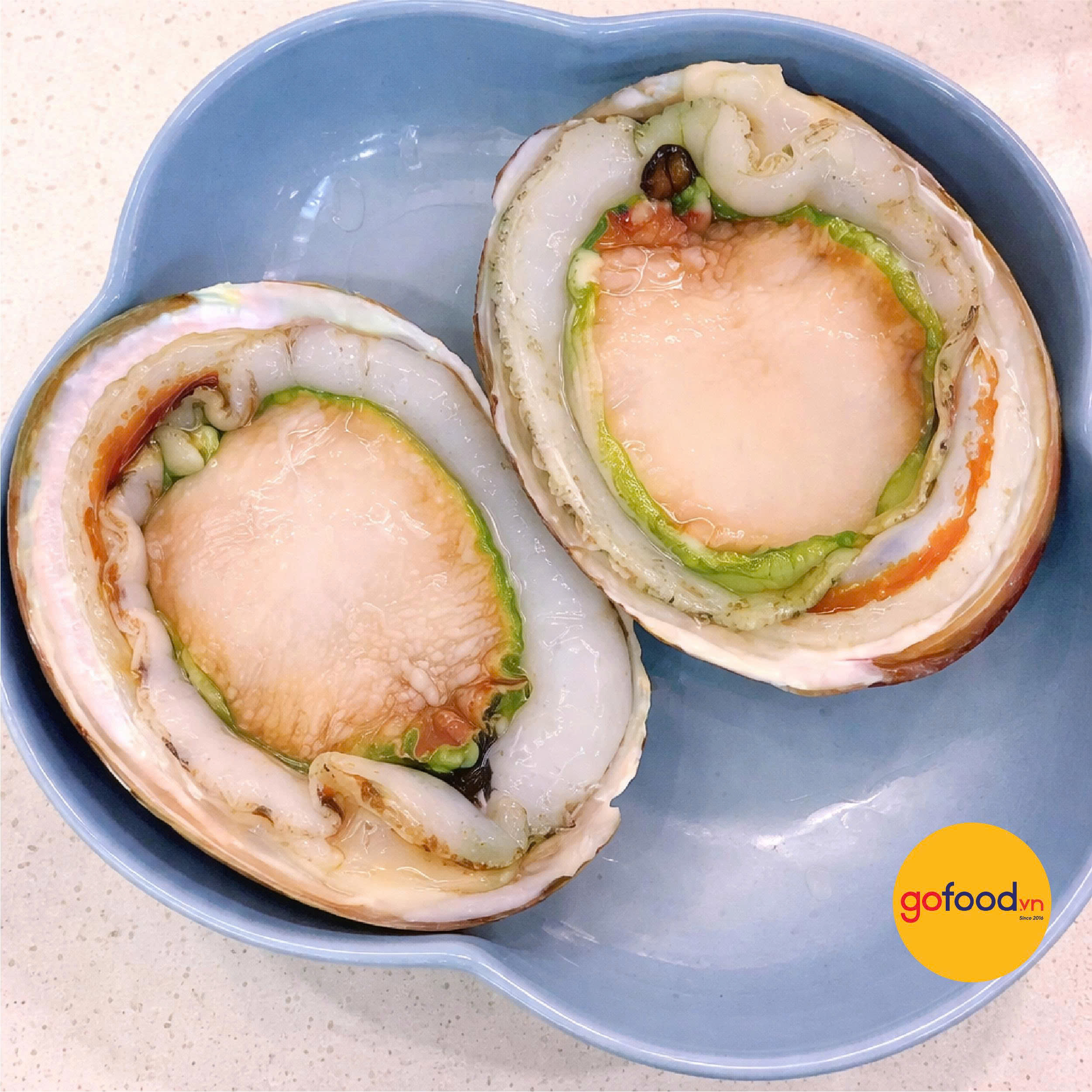 Bào ngư Úc viền xanh biển Tasmania 