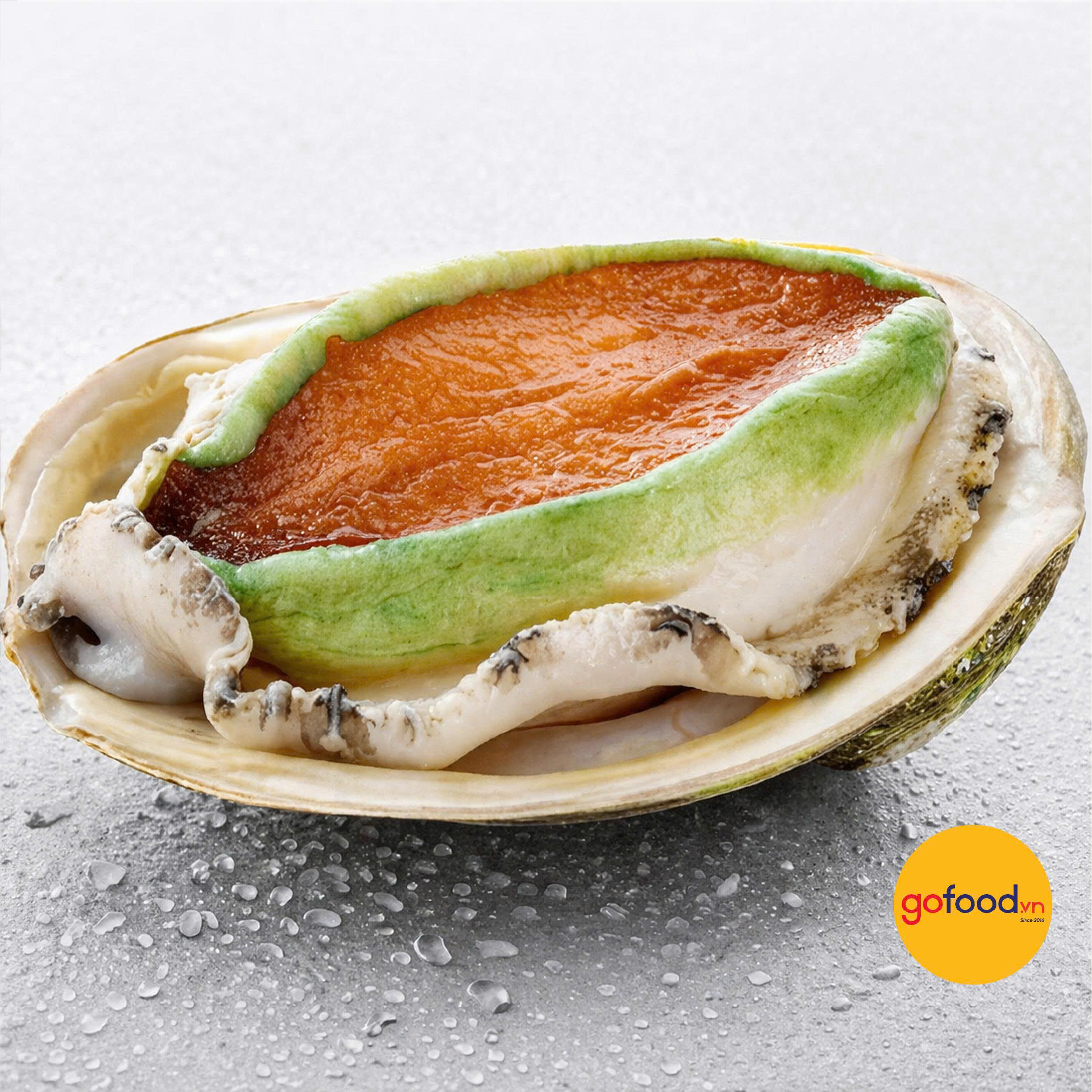 Bào ngư Úc viền xanh biển Tasmania 