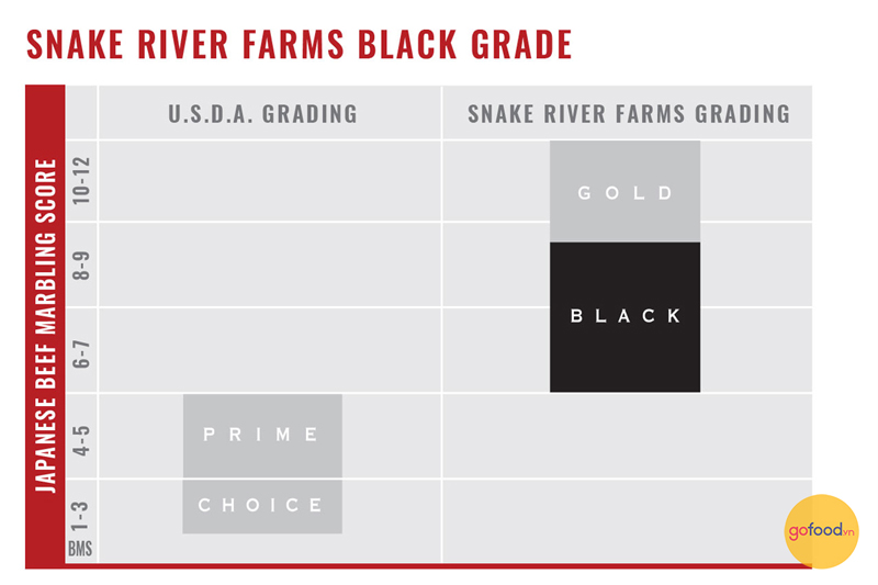 Bò Snake River Farms được xếp hạng theo thang BMS của Nhật