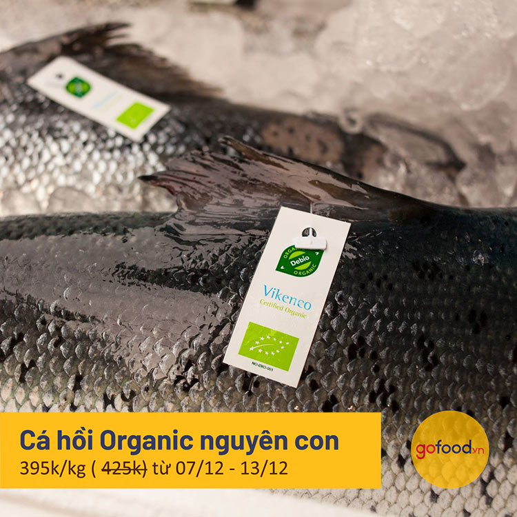 Cá hồi hữu cơ Nauy nguyên con tươi - Organic Salmon Fresh
