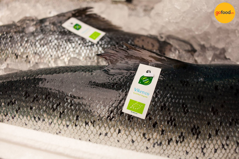 Cá hồi hữu cơ hãng Vikenco thơm ngon và có hàm lượng dinh dưỡng cao