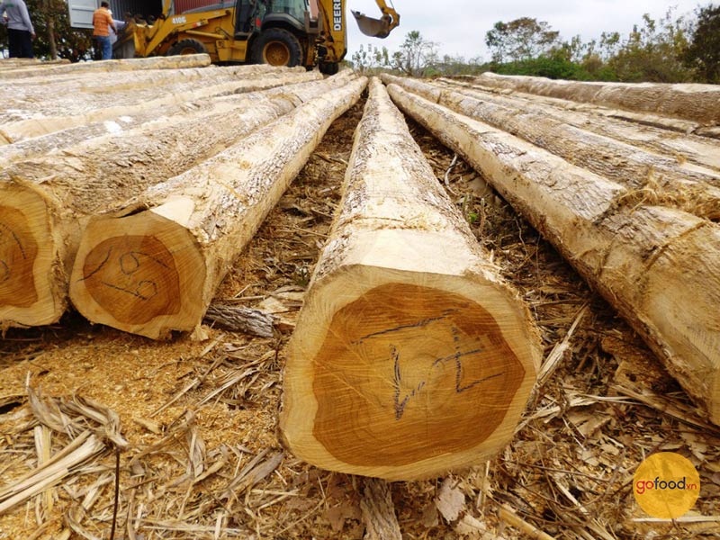Chất liệu gỗ Teak bền bỉ, có khả năng chống ẩm tốt