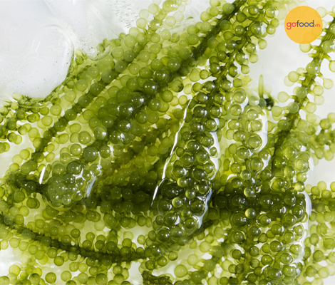 RONG NHO BIỂN LÀ GÌ? CÁCH ĂN VÀ TÁC DỤNG CỦA RONG NHO BIỂN TỚI SỨC KHỎE, VÓC DÁNG 