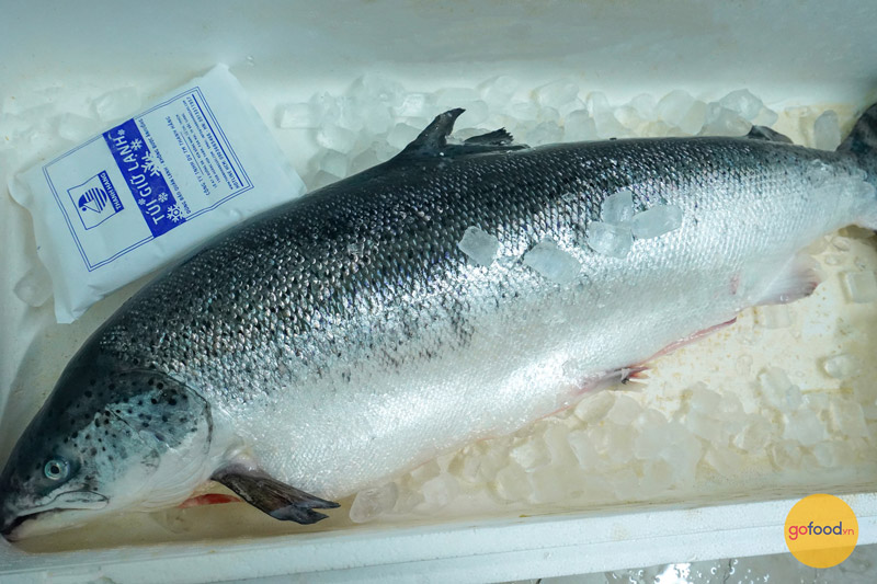 Cá hồi hữu cơ Nauy tại Gofood được đóng thùng xốp cùng rất nhiều đá trữ lạnh, đảm bảo tươi ngon giao đến tay khách hàng